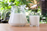Milk & Cream Products